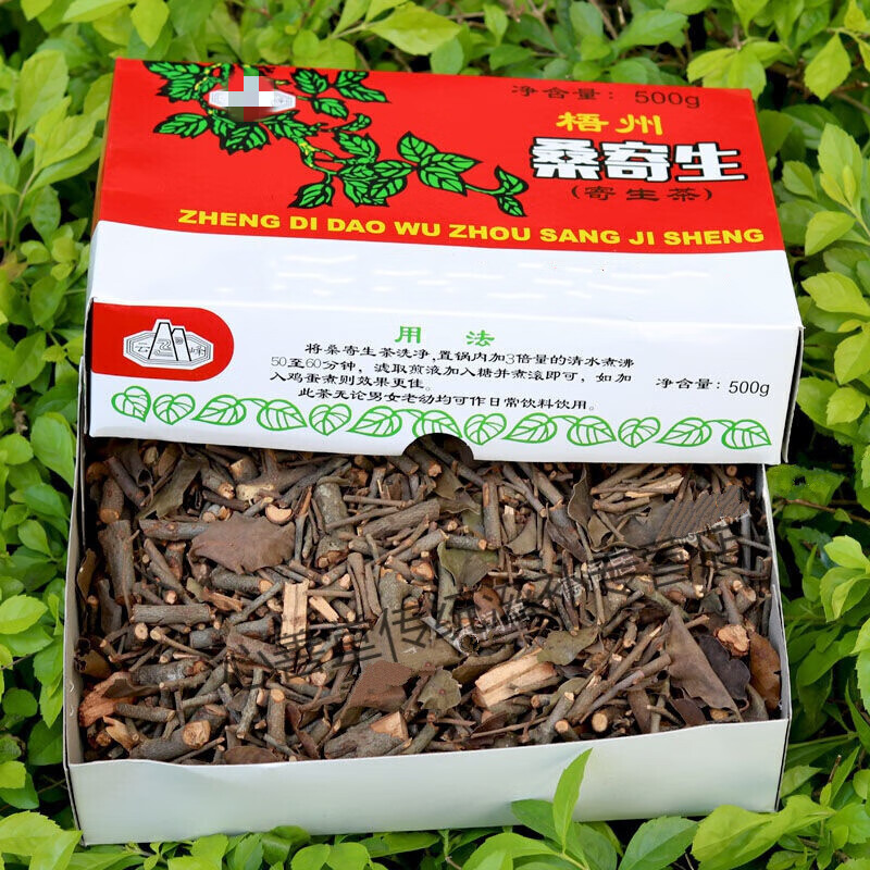 桑寄生茶(桑寄生茶怎样做法)