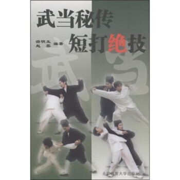 武当秘传短打绝技【正版图书】