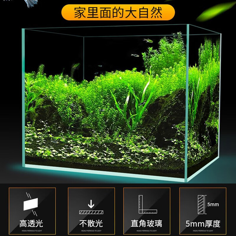 宝贝故事鱼缸怎么样质量大揭秘！