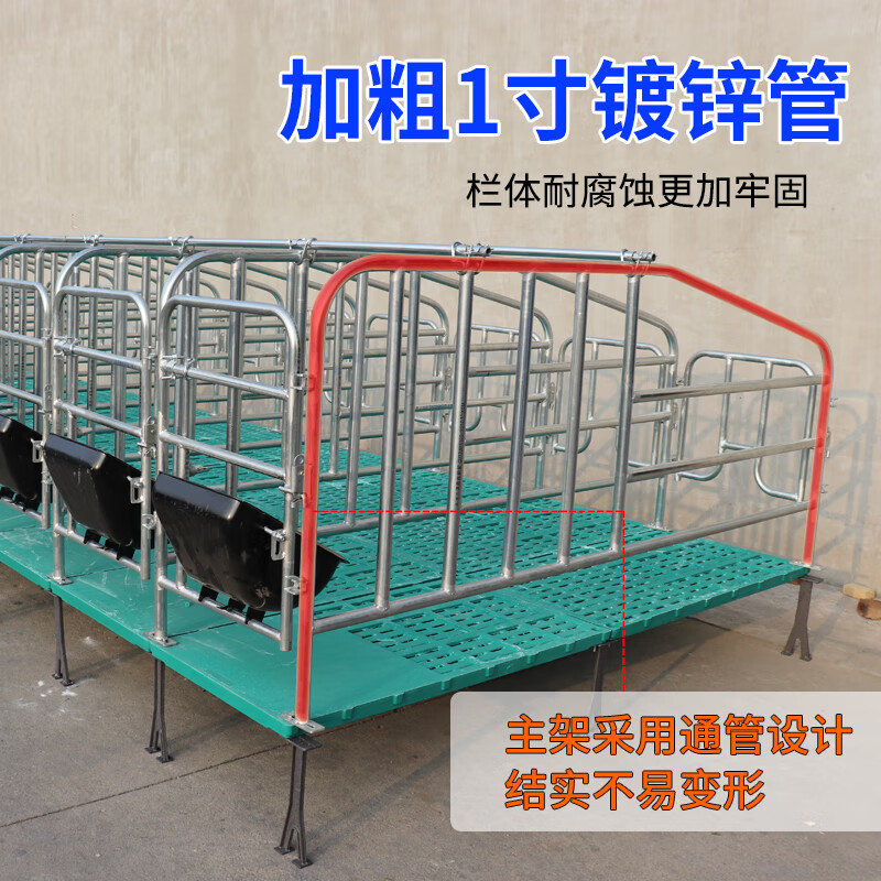 梦泡母猪定位栏猪用半限位栏养猪场设备落地定位定制围栏杆 买几个猪