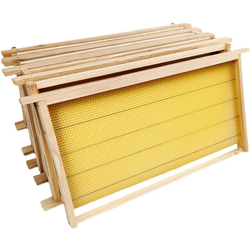 鹿藤带框巢础成品标准蜂箱专用意蜂巢脾杉木巢基蜜蜂用具养蜂工具蜂箱