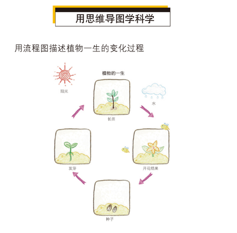 硅谷工程师爸爸的超强思维导图课：塑造儿童学习型大脑详情图
