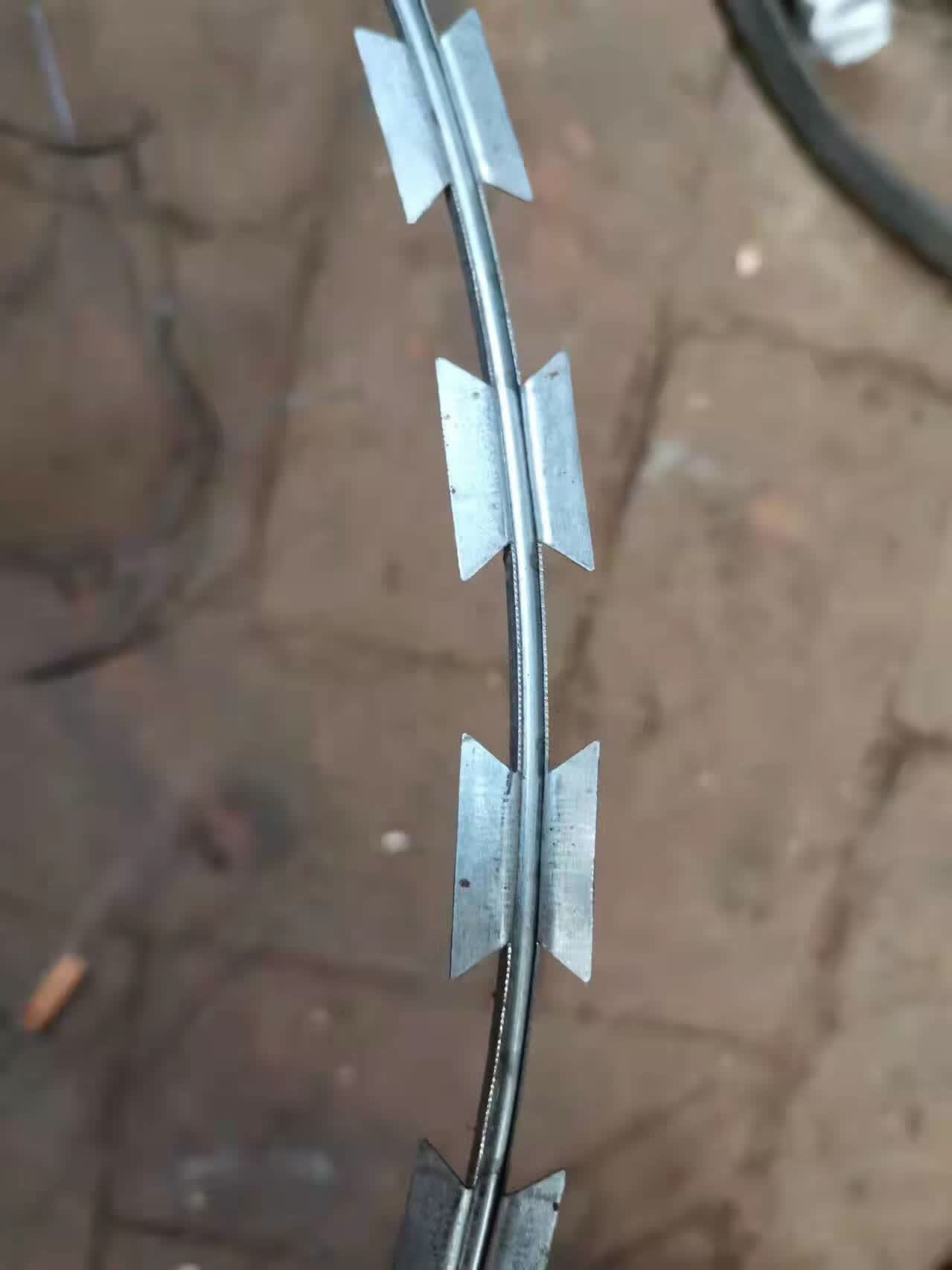 山头林村星舵围墙防盗片刺绳刺网钢丝铁丝防盗网带刺滚不锈钢围栏墙防