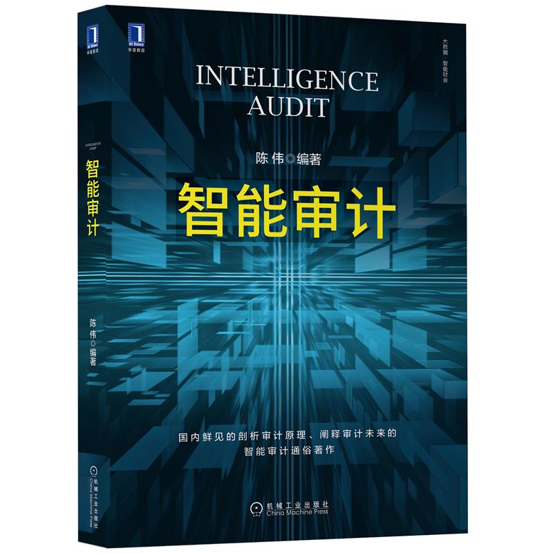 正版 智能审计陈伟|8081494