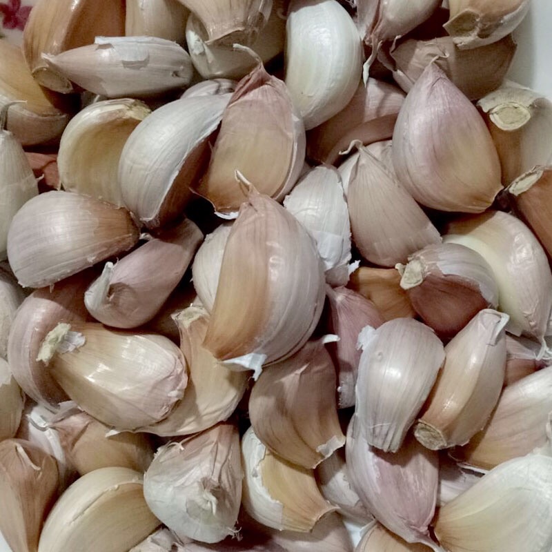 山东特产精挑细选2021新鲜手工蒜瓣带皮紫皮大蒜瓣 大蒜种子  5件起
