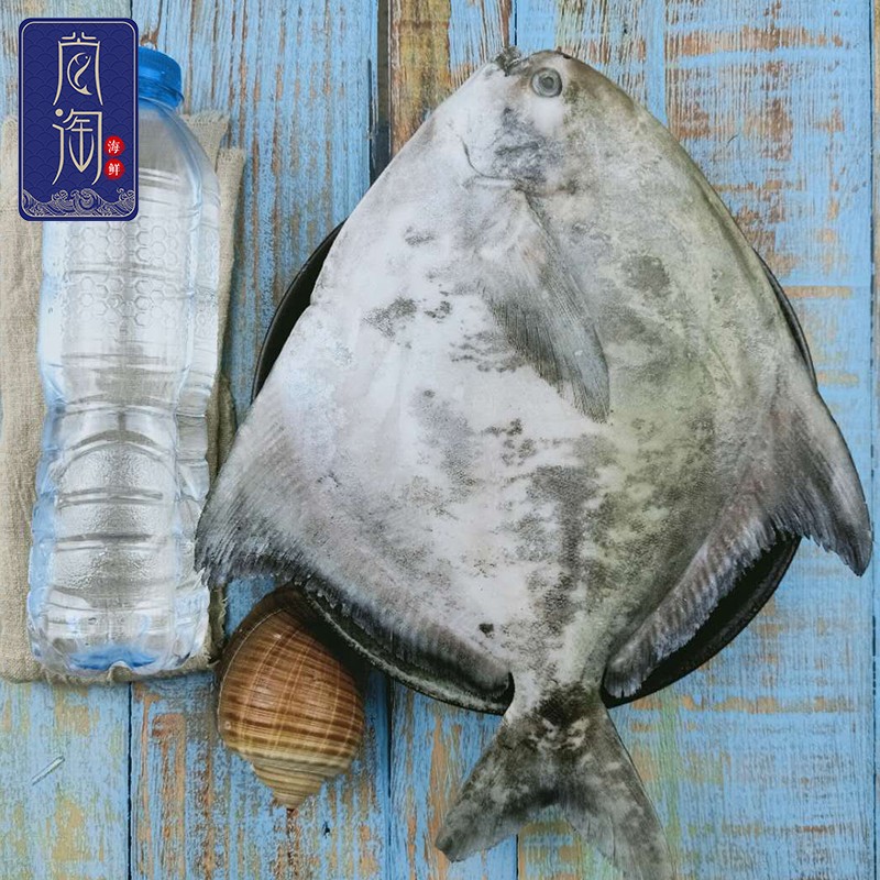 尚淘 东山岛新鲜大斗鲳鱼 深海捕捞鱼类海鲜水产 450-500g/条