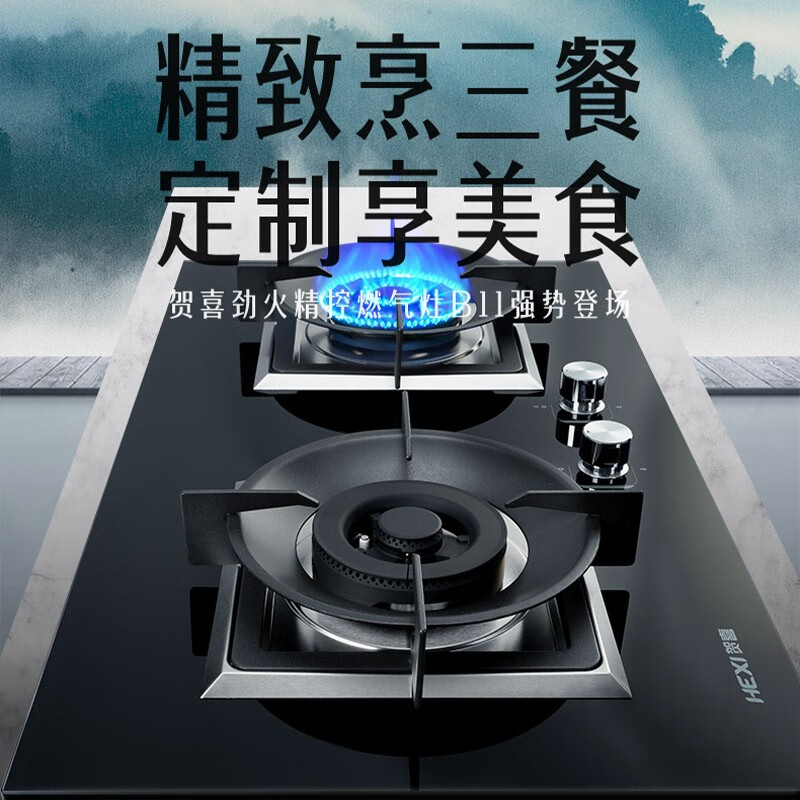 hexi贺喜电器劲火精控燃气灶b11 4.0kw火力 天然气