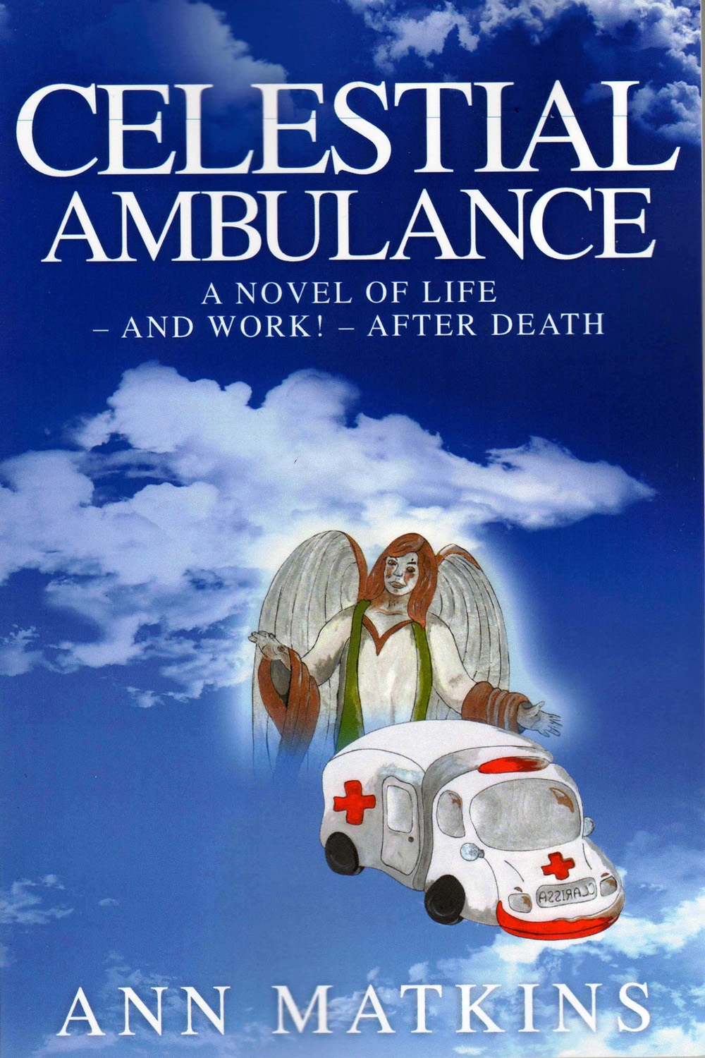 celestial ambulance : a novel of life - and work - after death