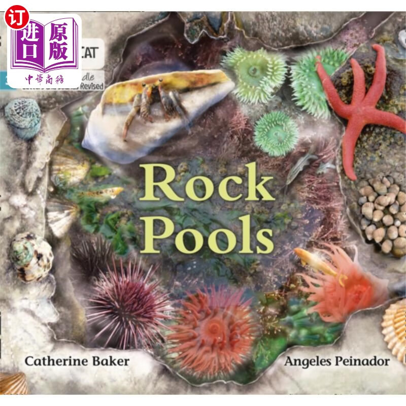 海外直订rock pools