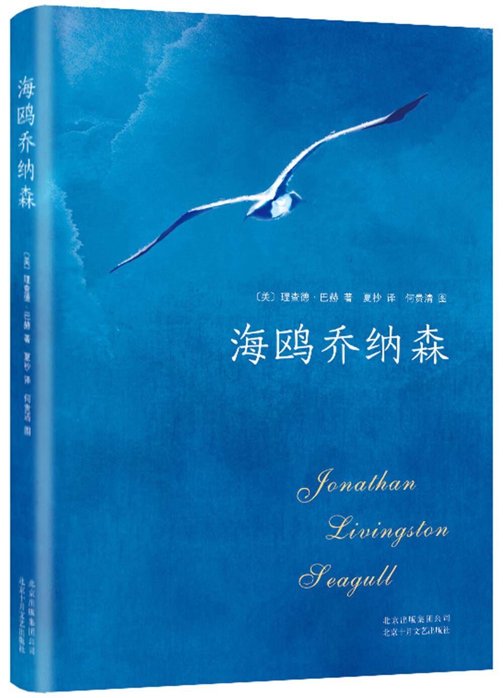 海鸥乔纳森(与《牧羊少年奇幻之旅》《小王子》齐名,入选北大版大学