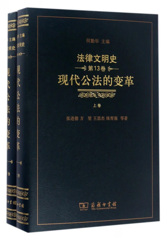 现代公法的变革(上下)(精)/法律文明史