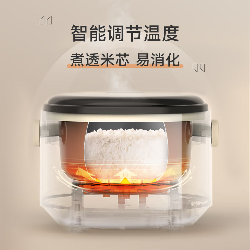ZEMKON德国家用电饭煲智能预约迷你多功能小型电饭锅 低糖款 2.5L