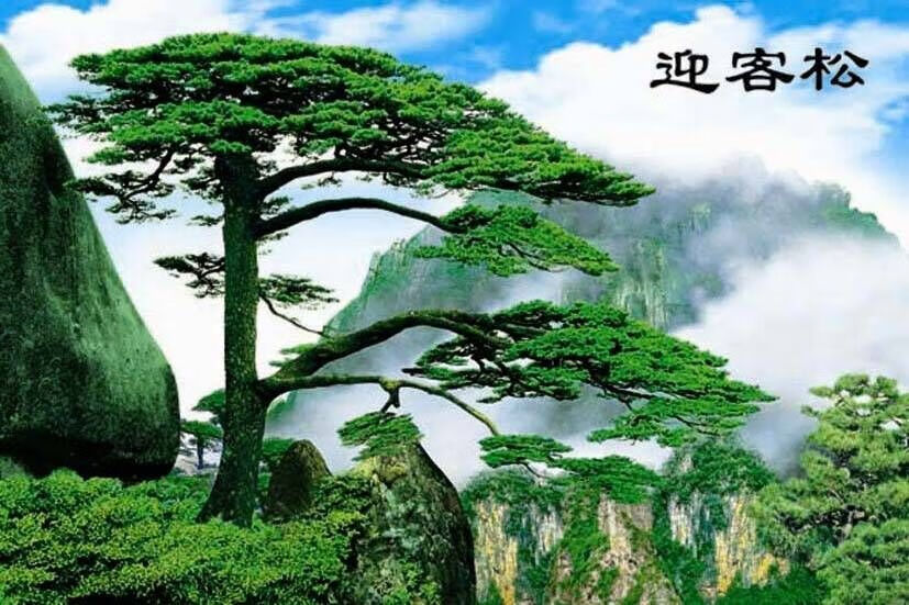 三维工匠山水画风景客厅过年喜庆年画墙画装饰纸画超大遍地黄金贴图