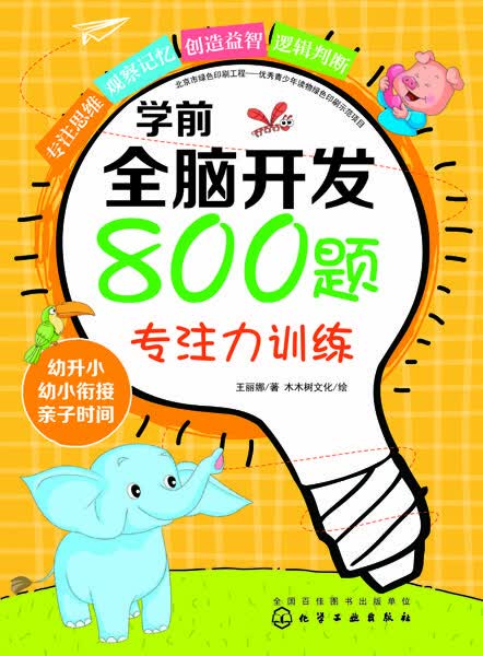 学前全脑开发800题.专注力训练 王丽娜 著 木木树文化 绘