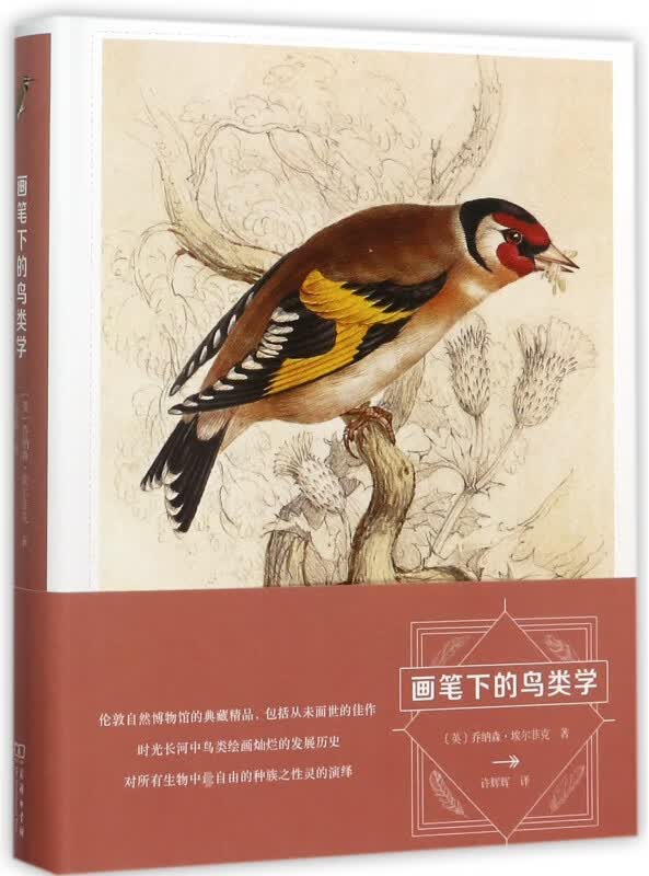 画笔下的鸟类学(精)