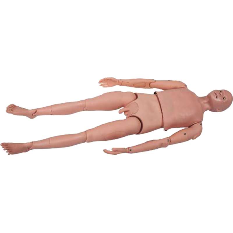 成人全身无菌操作模拟人佳悦科教通lv19b