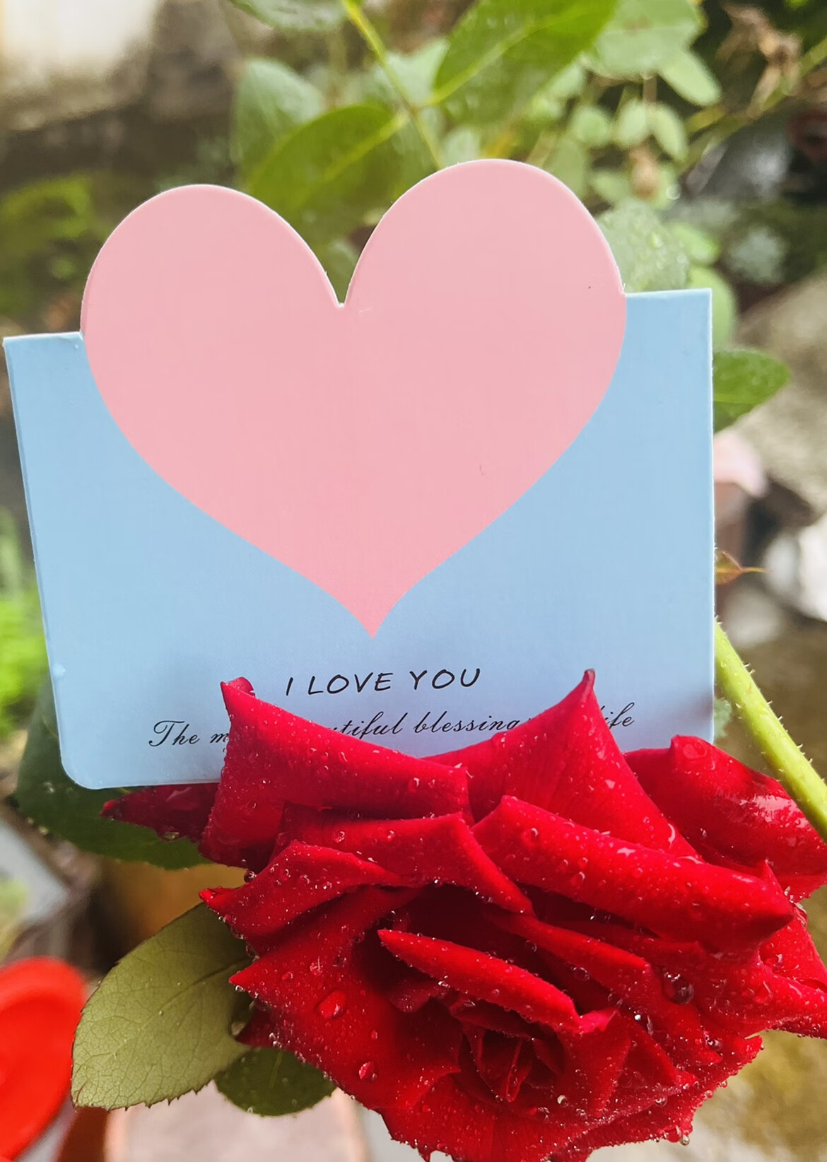 贺卡手写祝福感谢感恩留言空白明信片 e12-iloveyou款蓝底粉心50张