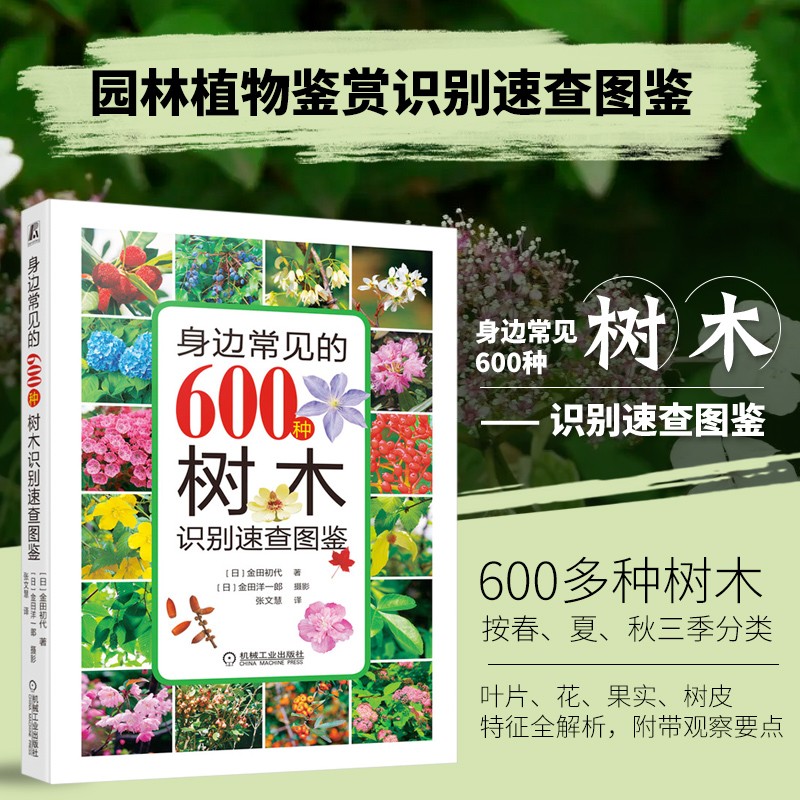 常见树木瓶中种类大全特征生长环境树木百科全书名称种类分类科目鉴别