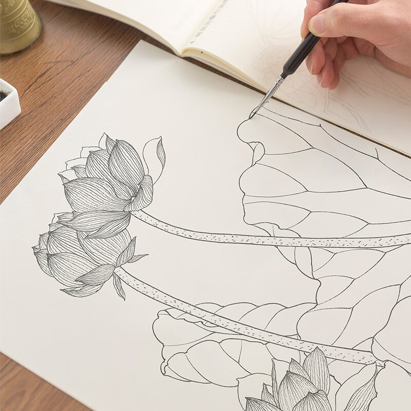 控练习描摹描红素材人物花鸟仕女花卉动物初学者零基础少儿美术十八描