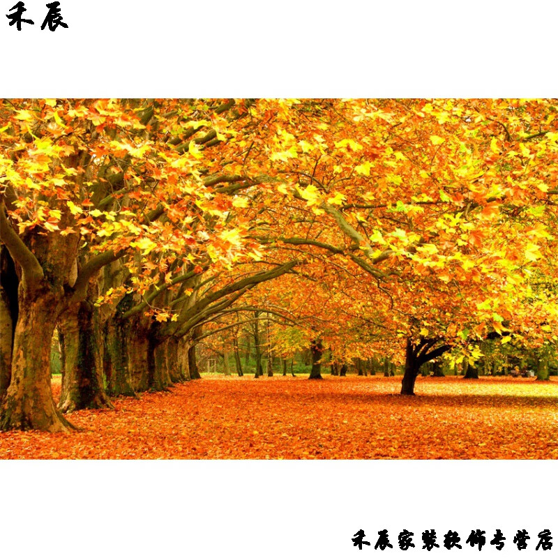 墙纸自粘桌面墙上贴画秋天风景海报红枫树林森林自然风光落叶阳光麦田