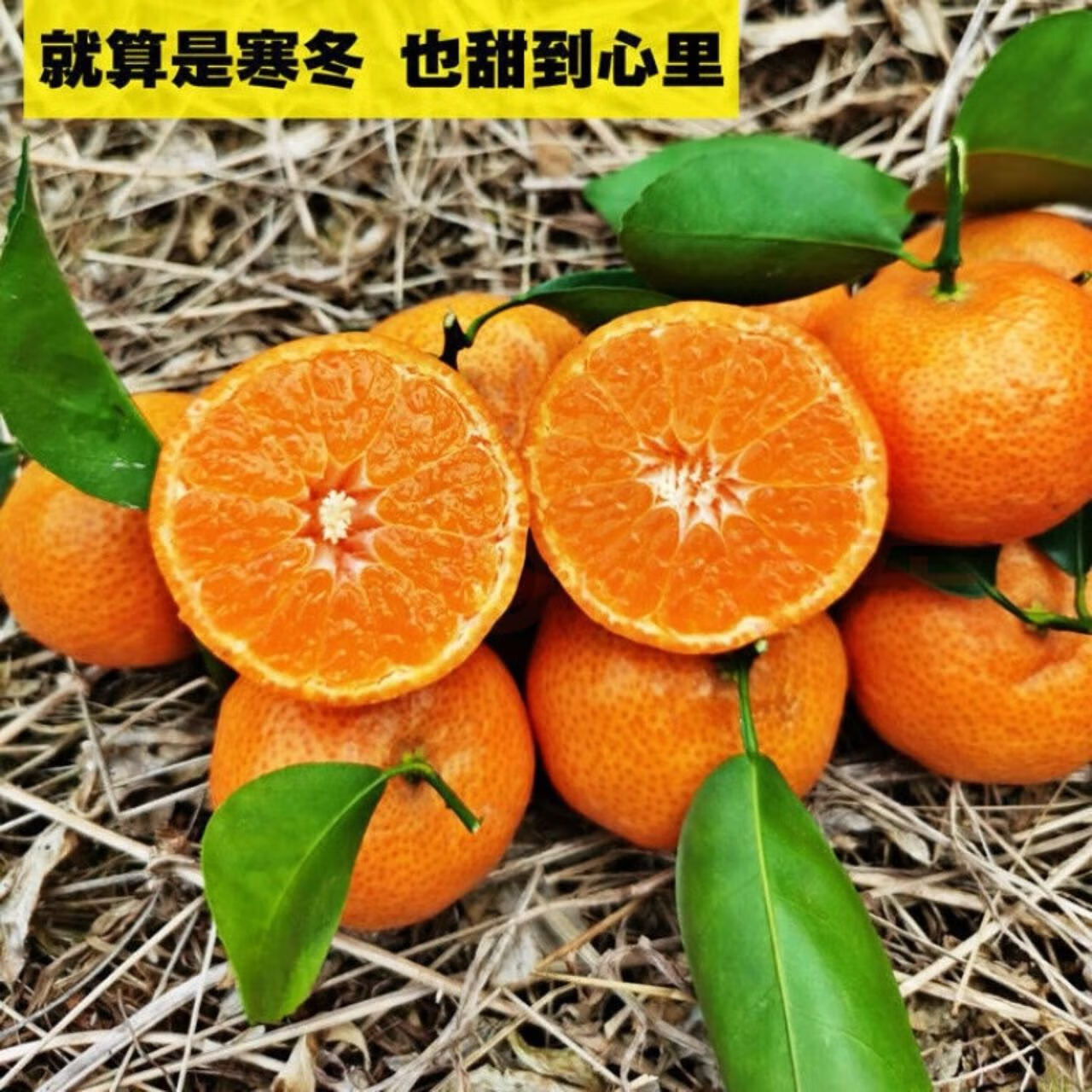 广西砂糖橘新鲜薄皮正宗金秋沙糖桔孕妇水果桔子9斤 精选装 1斤