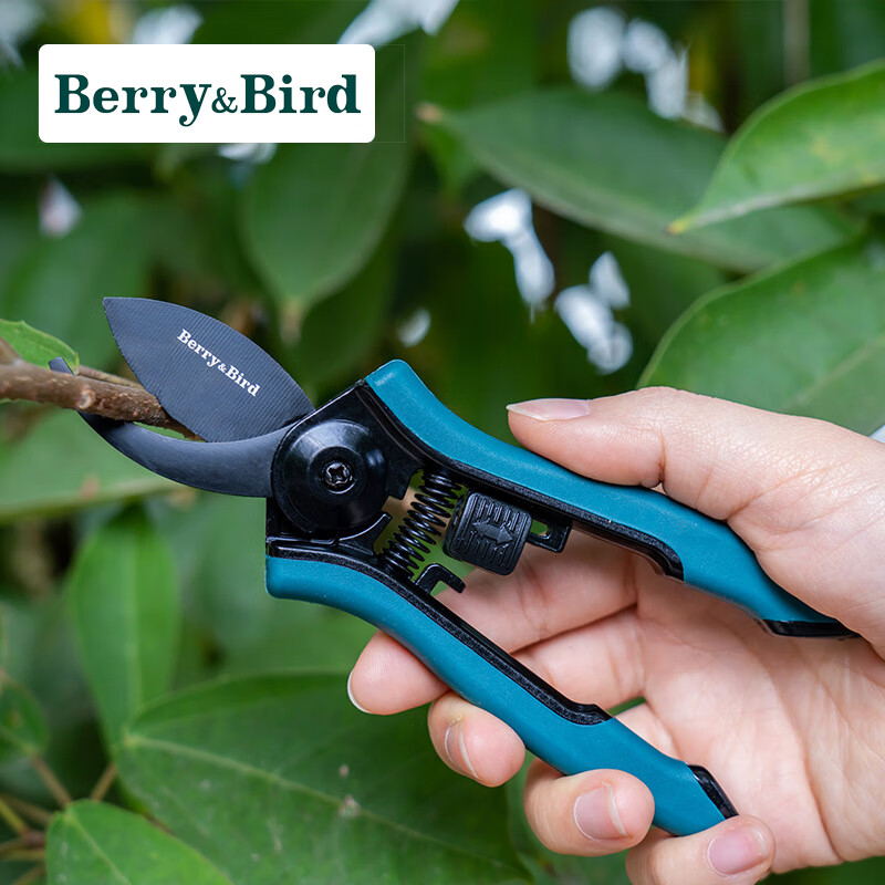 Berry&Bird花园修枝剪 家庭园艺养花种植 园林剪刀树枝剪 园艺工具
