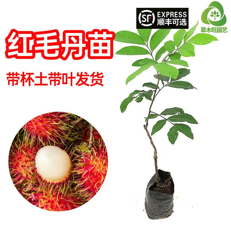 京东新品首发 2023-09-19 - 第2张  | 最新购物优惠券