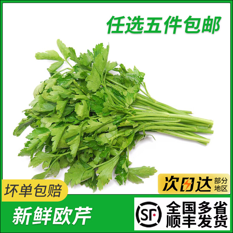 包邮新鲜意大利芹500g欧芹香芹法国香菜巴西里香西餐食材调味料 250g