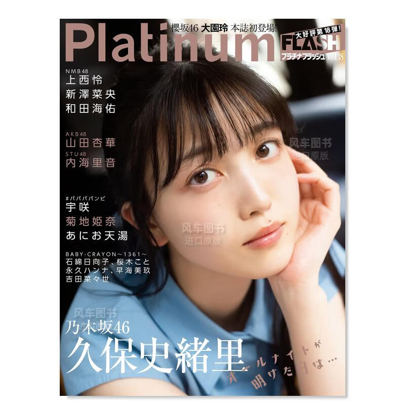 Platinum FLASH Vol.18日文原版图书书籍