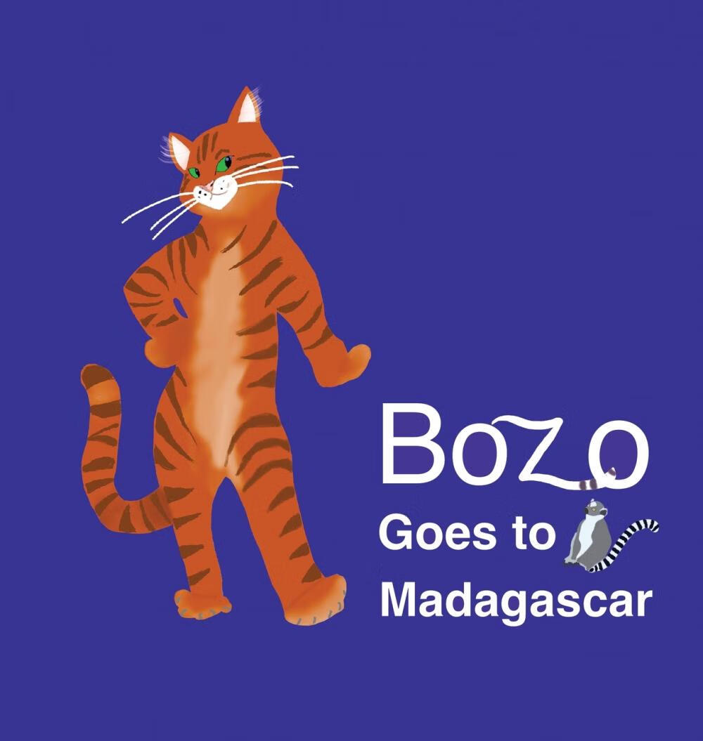 【预售 按需印刷】bozo goes to madagascar