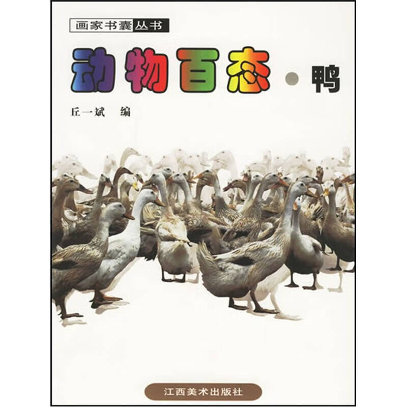 动物百态 鸭【正版好书】