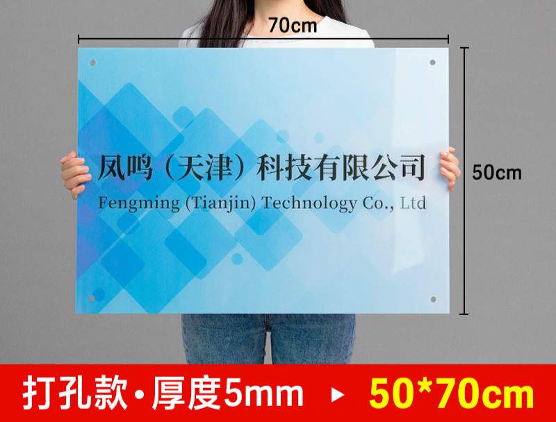 SOUL RELEASE公司門(mén)牌招牌亞克力廣告展示牌門(mén)頭logo定做牌匾定制標(biāo)牌銘牌制作 亞克力5mm（50x70cm）【打孔款】