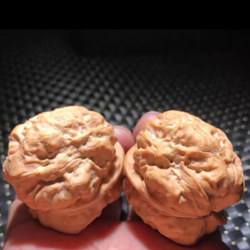 蒂宝莱(dibaolai)蛤蟆头核桃文玩把玩野外生小众龙胆蛤蟆头小金蟾疙瘩