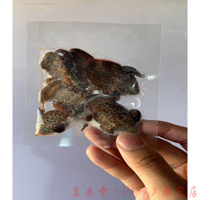 河虾麦穗鱼食新鲜观赏鱼龙鱼虎鱼魟鱼龟饲料 单冻林蛙10只(2包*5只)