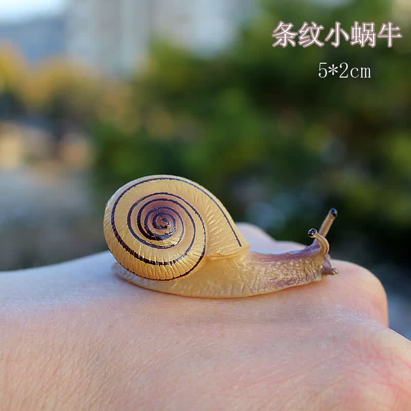 模型动物实心昆虫儿童认知科教塑料微景观摆件散玩具 1734条纹蜗牛