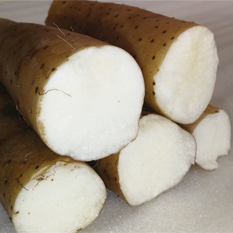 脆山药粗菜山药炒菜火锅用脆淮山新鲜山药农家自销3斤5斤 3斤装