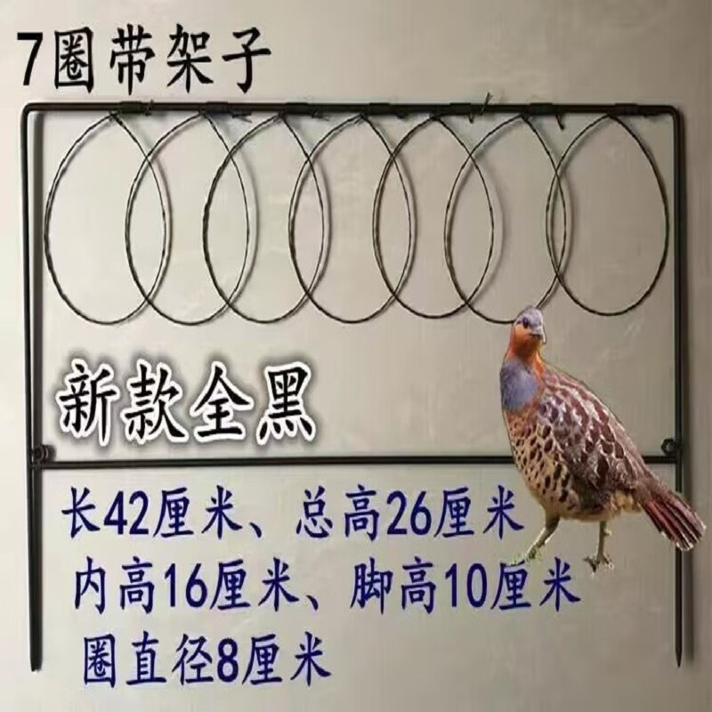 新奇精品全套竹鸡标本仿真竹鸡模型户外教学专用演示道具摆件 黑色7号