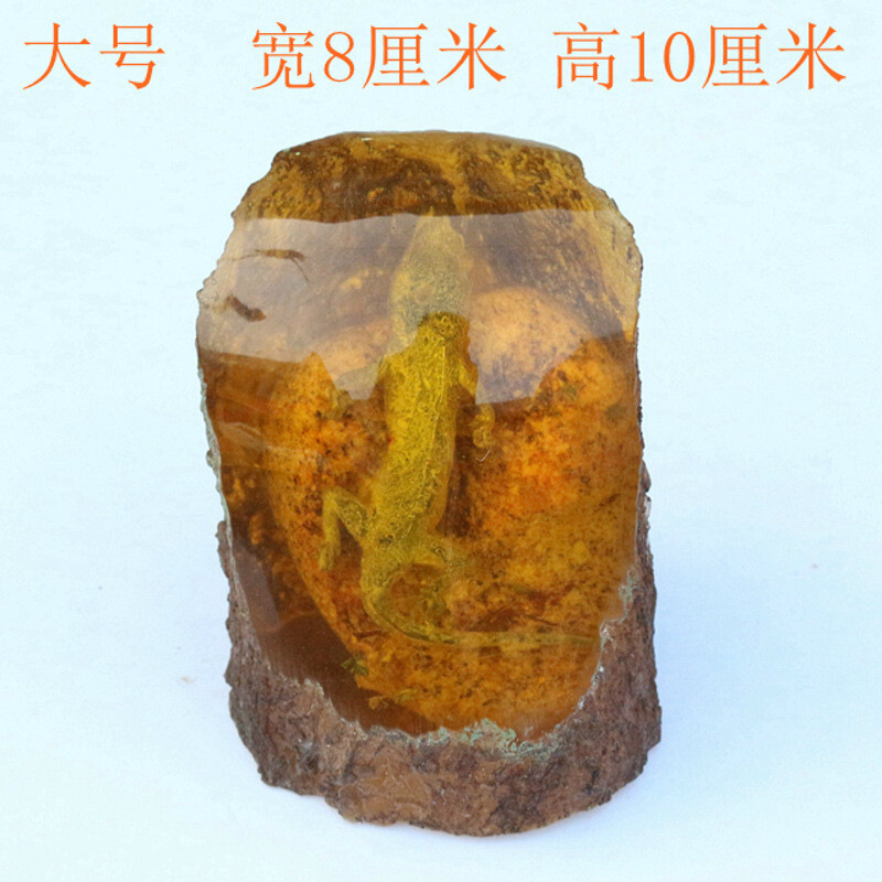 人工琥珀标本小动物生物活体原石 真壁虎蜥蜴 蜜蜡虫珀化石摆件 图片