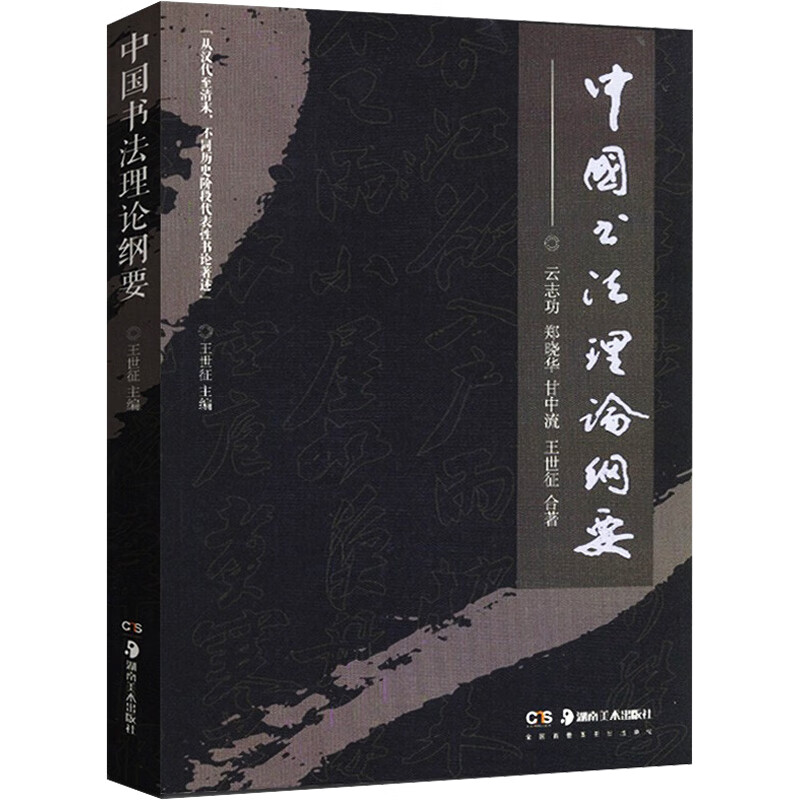 中国书法理论纲要 王世徴,郑晓华,甘中流,云志功 书籍