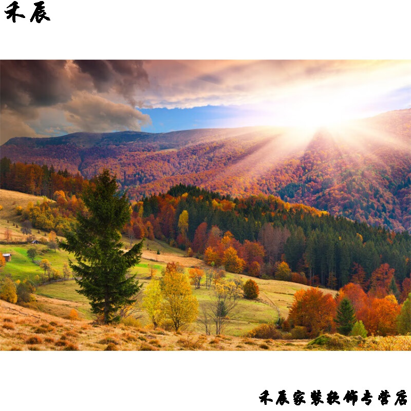 墙纸自粘桌面墙上贴画秋天风景海报红枫树林森林自然风光落叶阳光麦田