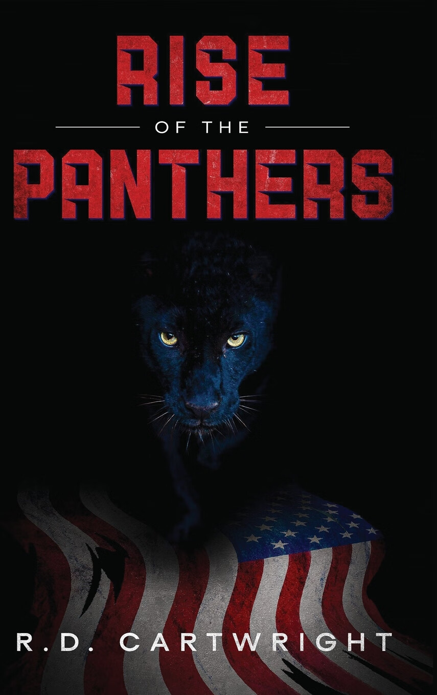 【预售 按需印刷】rise of the panthers