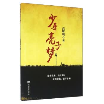 少年亮子梦 中国言实出版社 9787517117490 高辉明
