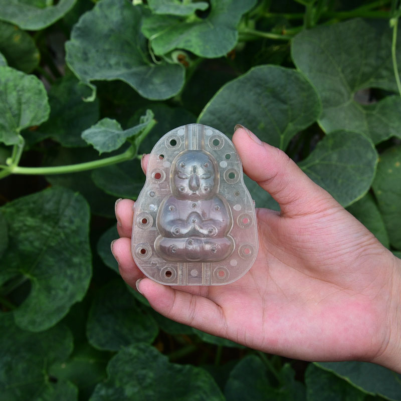 天然葫芦生长定型模具塑料变形模型范制葫芦套模模具葫芦水果模子2022