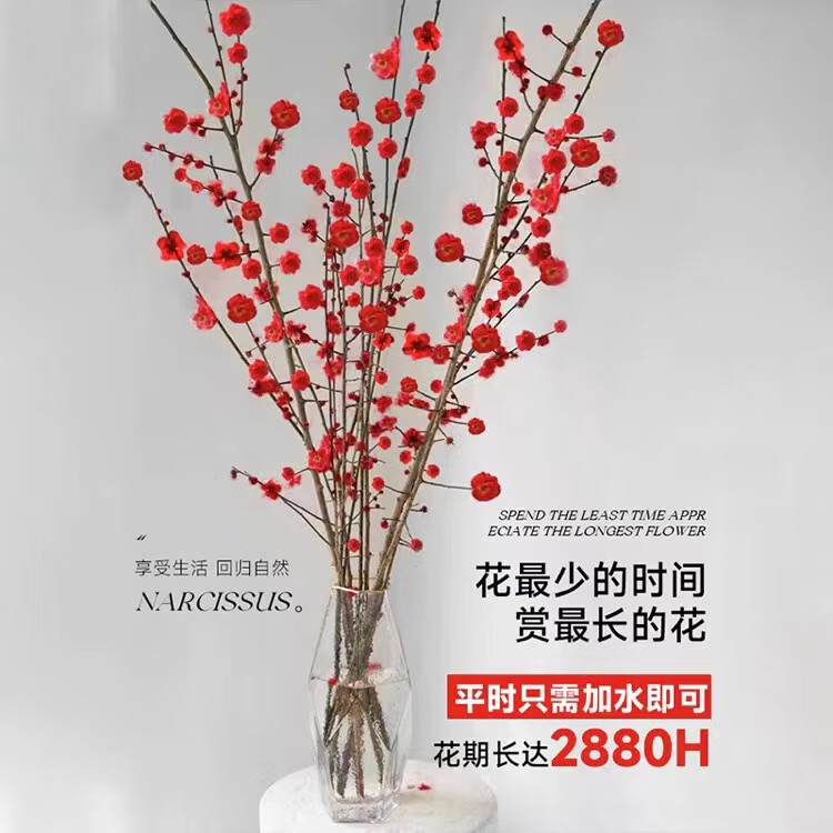 京东新品首发 2024-01-23 - 第21张  | 最新购物优惠券
