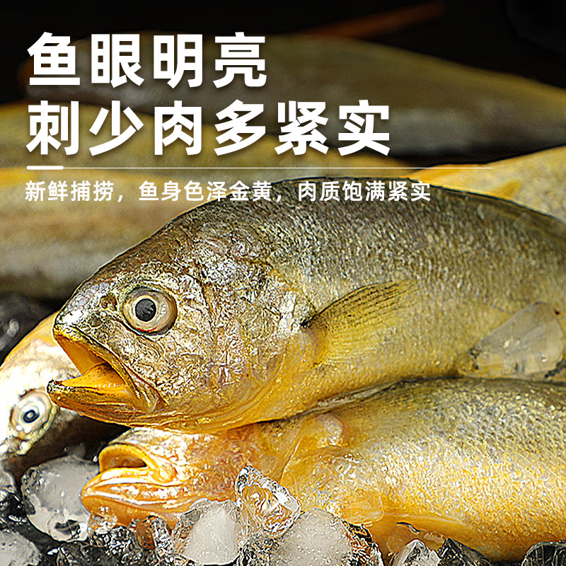 舟山大黄鱼礼盒 东海新鲜深海生态黄花鱼 春节年货礼盒海鲜年夜饭 9两-1斤/条 6条大黄鱼礼盒装