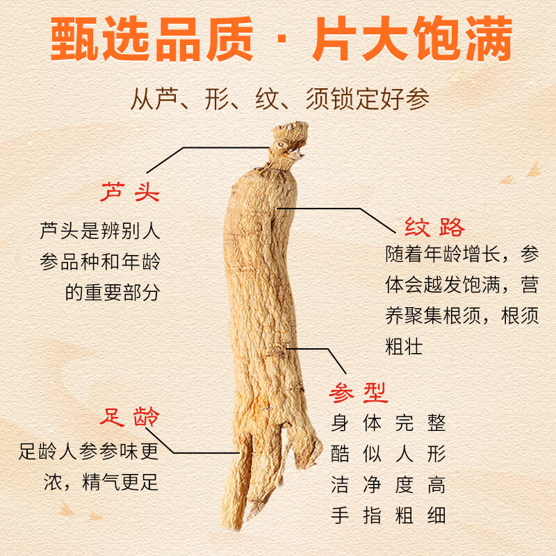 华韩骏龙人参园参片50克山水景色罐健康精选吉林长白山生晒参煲汤滋补品泡酒药材春节送礼礼品