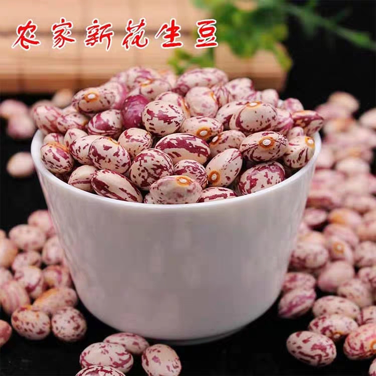 伟皖新鲜花豆干货贵州特产雀蛋豆豆子2斤农家自种干豆米新豆四季豆