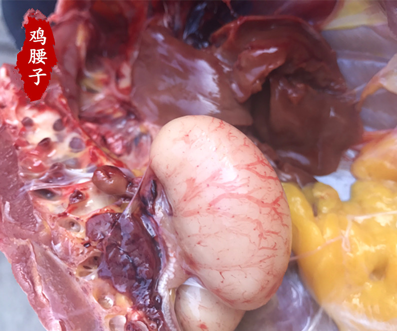 新鲜鸡睾丸500克 鸡子鸡腰子鸡卵鸡春子公鸡阉蛋睾丸公鸡蛋蛋