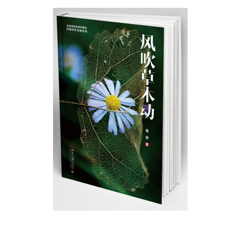 风吹草木动