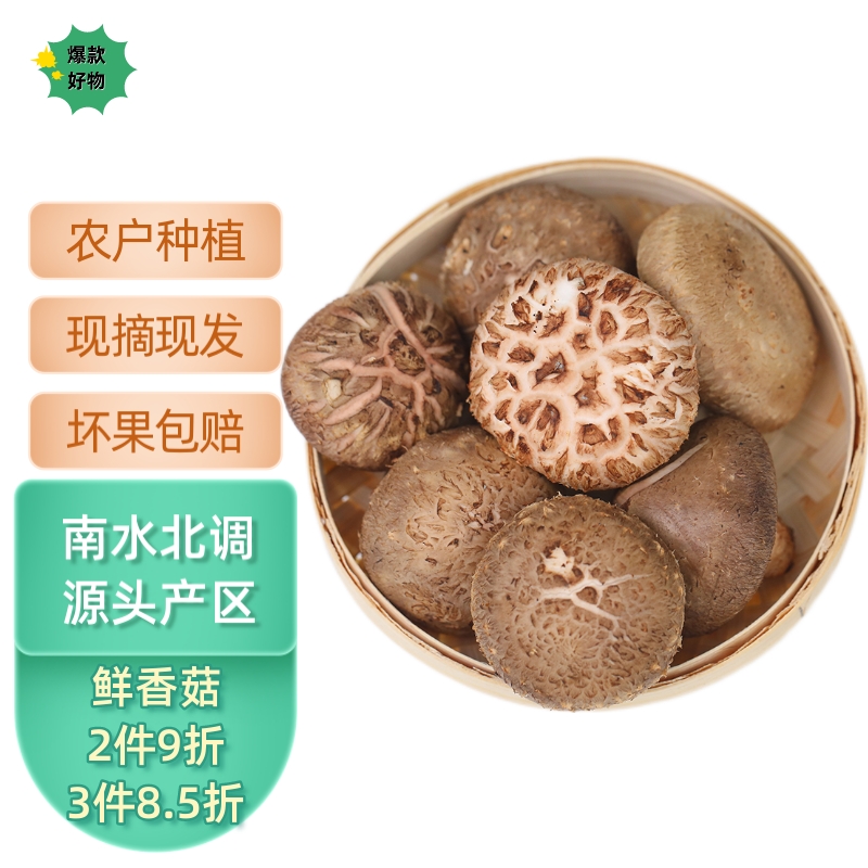 香菇蘑菇新鲜河南湿香菇现采现发菌菇蔬菜菇肉厚烧烤煲汤食材 精选